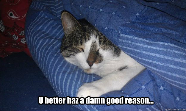 U better haz a damn good reason...  Sleepy cat