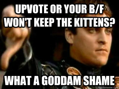 Upvote or your b/f won't keep the kittens? What a goddam shame  Downvoting Roman