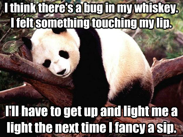 I think there's a bug in my whiskey. I felt something touching my lip. I'll have to get up and light me a light the next time I fancy a sip.  Procrastination Panda