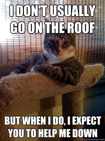 I don't usually go on the roof but when I do, I expect you to help me down  The Most Interesting Cat in the World