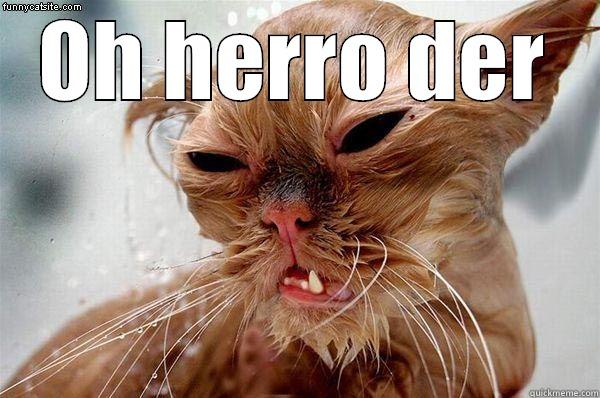 OH HERRO DER  Misc