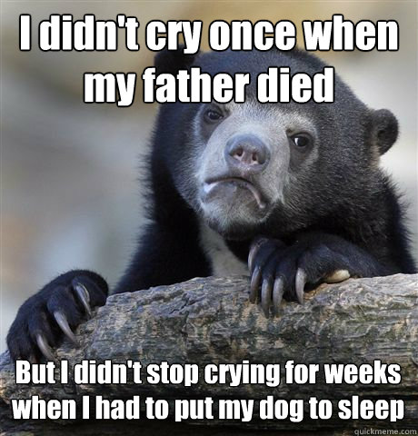I didn't cry once when my father died But I didn't stop crying for weeks when I had to put my dog to sleep  Confession Bear