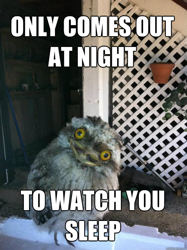 only comes out at night to watch you sleep - only comes out at night to watch you sleep  Overly Attached Owl