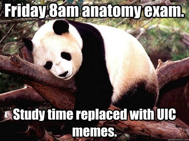 Friday 8am anatomy exam. Study time replaced with UIC memes.  Procrastination Panda