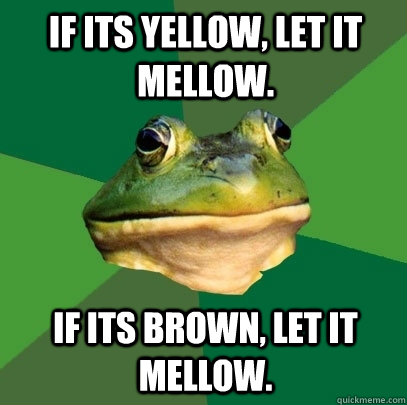 If its yellow, let it mellow. If its brown, let it mellow.  Foul Bachelor Frog