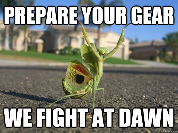 prepare your gear we fight at dawn  