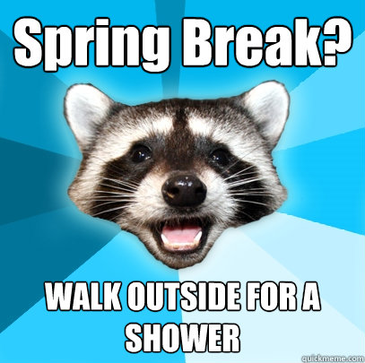 Spring Break? WALK OUTSIDE FOR A SHOWER  Lame Pun Coon
