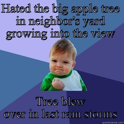 HATED THE BIG APPLE TREE IN NEIGHBOR'S YARD GROWING INTO THE VIEW TREE BLEW OVER IN LAST RAIN STORMS Success Kid
