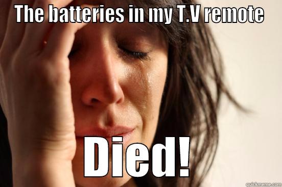 THE BATTERIES IN MY T.V REMOTE DIED! First World Problems