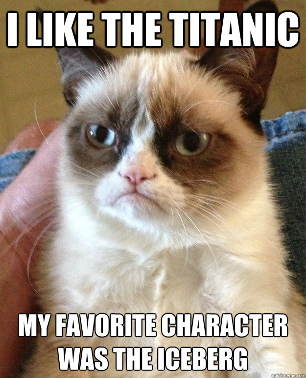 I LIKE THE TITANIC MY FAVORITE CHARACTER WAS THE ICEBERG - I LIKE THE TITANIC MY FAVORITE CHARACTER WAS THE ICEBERG  Angry Cat