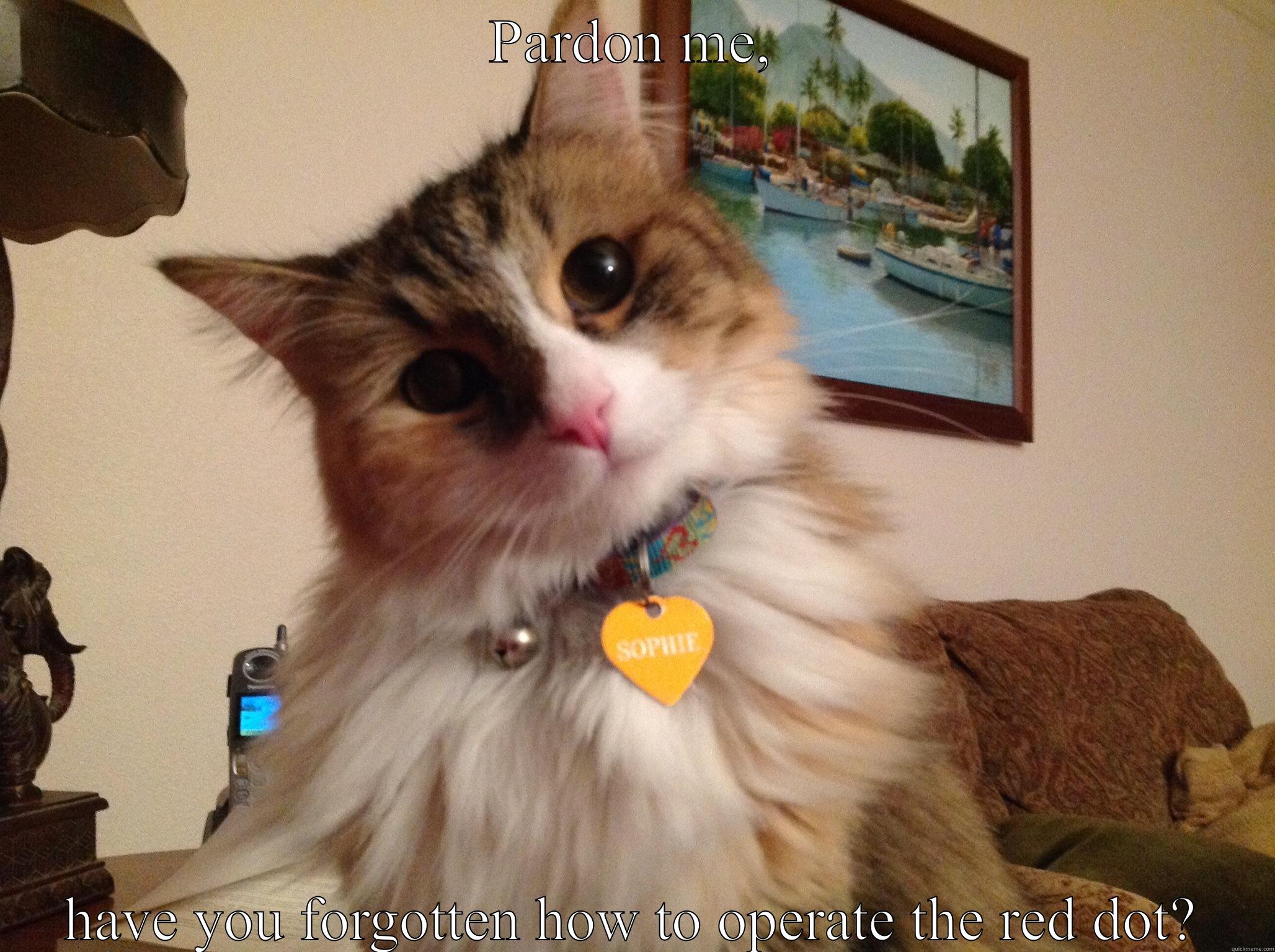 PARDON ME, HAVE YOU FORGOTTEN HOW TO OPERATE THE RED DOT? Misc