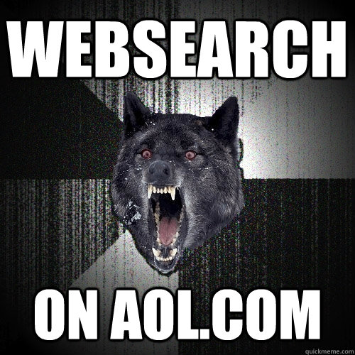 Websearch On AOL.com  Insanity Wolf