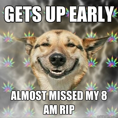 Gets up Early Almost missed my 8 am Rip  Stoner Dog