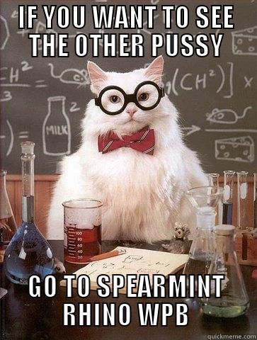 IF YOU WANT TO SEE THE OTHER PUSSY GO TO SPEARMINT RHINO WPB Chemistry Cat