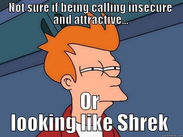 NOT SURE IF BEING CALLING INSECURE AND ATTRACTIVE... OR LOOKING LIKE SHREK Futurama Fry