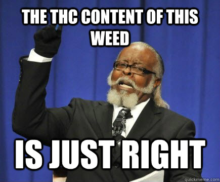 THE THC CONTENT OF THIS WEED  IS JUST RIGHT  Too Damn High