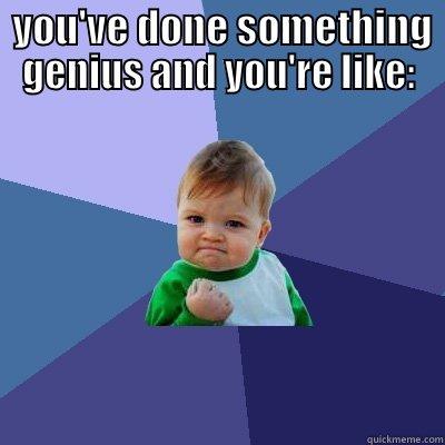  YOU'VE DONE SOMETHING GENIUS AND YOU'RE LIKE:  Success Kid
