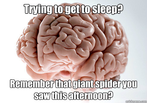 Trying to get to sleep? Remember that giant spider you saw this afternoon?  Scumbag Brain