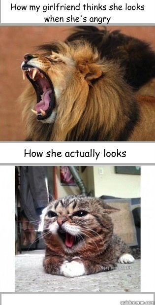 How my girlfriend thinks she looks when she's angry How she actually looks  Angry Girlfriend