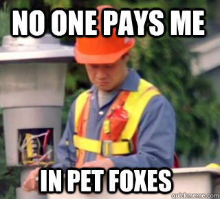 no one pays me in pet foxes  
