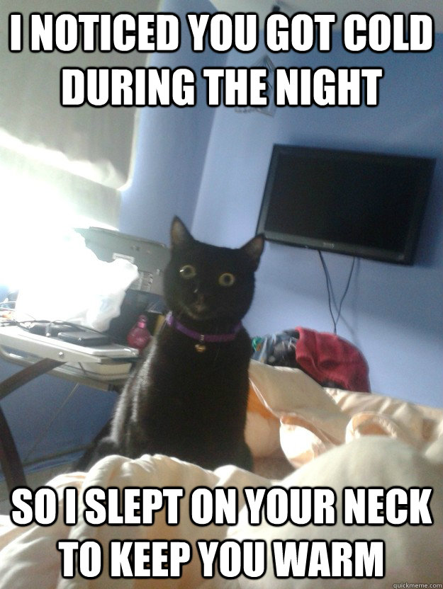 i noticed you got cold during the night so i slept on your neck to keep you warm  overly attached cat