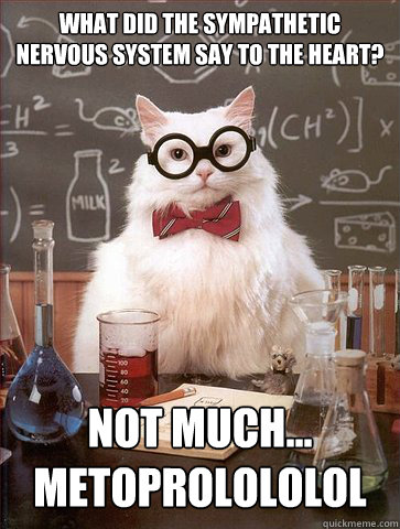 What did the sympathetic nervous system say to the heart?

 Not much... Metoprolololol  Science Cat