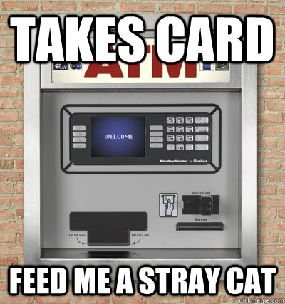 takes card feed me a stray cat  