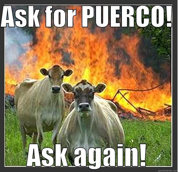 ASK FOR PUERCO!  ASK AGAIN! Evil cows