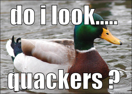 DO I LOOK..... QUACKERS ? Actual Advice Mallard