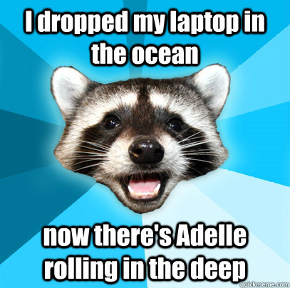 I dropped my laptop in the ocean now there's Adelle rolling in the deep - I dropped my laptop in the ocean now there's Adelle rolling in the deep  Lame Pun Coon