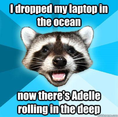 I dropped my laptop in the ocean now there's Adelle rolling in the deep  Lame Pun Coon