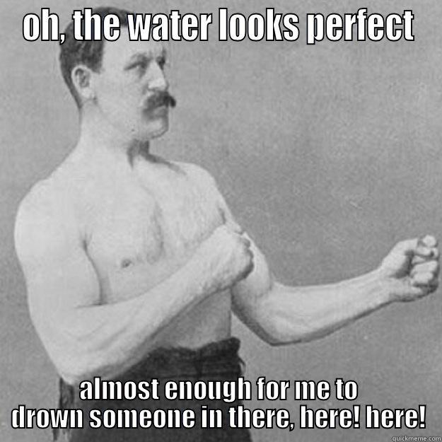 OH, THE WATER LOOKS PERFECT ALMOST ENOUGH FOR ME TO DROWN SOMEONE IN THERE, HERE! HERE! overly manly man