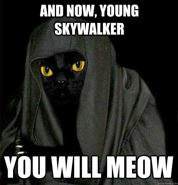 And now, Young Skywalker You will Meow  