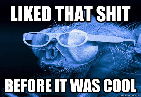 Liked that shit Before it was cool - Liked that shit Before it was cool  Misc