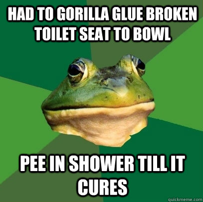 Had to Gorilla Glue broken toilet seat to bowl Pee in shower till it cures  Foul Bachelor Frog