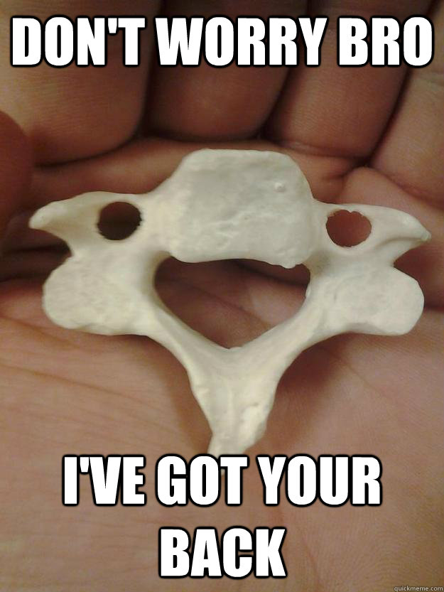 Don't worry bro I've got your back  Good Guy Vertebrae