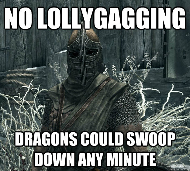 No lollygagging dragons could swoop down any minute  Skyrim Guard
