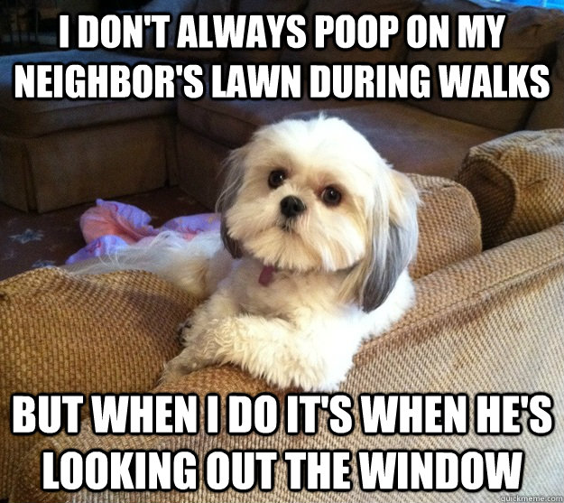 I don't always poop on my neighbor's lawn during walks BUT WHEN I DO it's when HE's looking out the window  The Most Interesting Dog in the World