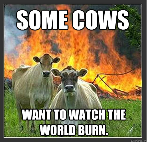 Some cows Want to watch the world burn.  Evil cows