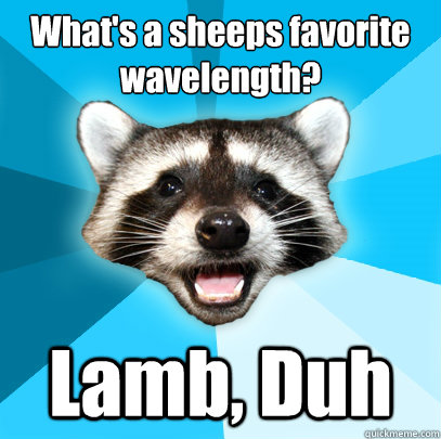 What's a sheeps favorite wavelength? Lamb, Duh  Lame Pun Coon