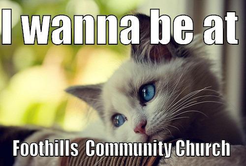 I WANNA BE AT  FOOTHILLS  COMMUNITY CHURCH First World Problems Cat