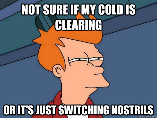 not sure if my cold is clearing or it's just switching nostrils  - not sure if my cold is clearing or it's just switching nostrils   Futurama Fry