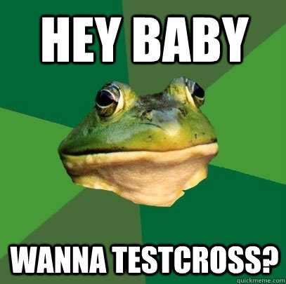 Hey Baby Wanna Testcross?  Foul Bachelor Frog