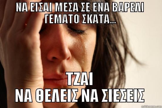 NA ΕΙΣΑΙ ΜΕΣΑ ΣΕ ΕΝΑ ΒΑΡΕΛΙ ΓΕΜΑΤΟ ΣΚΑΤΑ... ΤΖΑΙ ΝΑ ΘΕΛΕΙΣ ΝΑ ΣΙΕΣΕΙΣ First World Problems