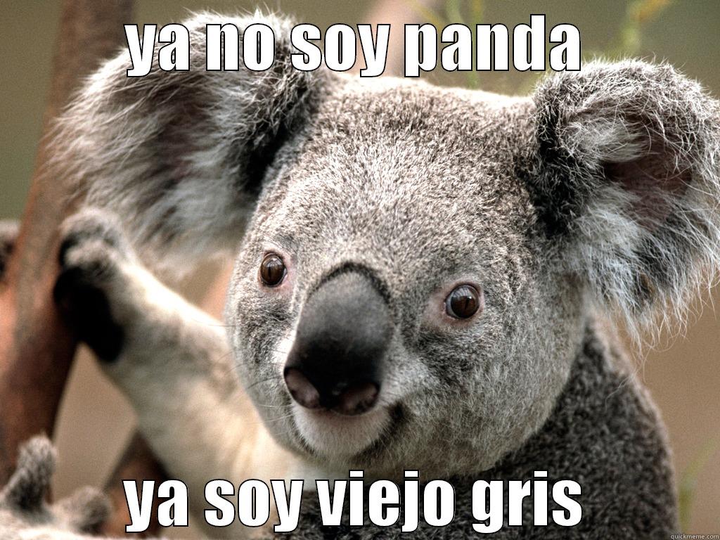 YA NO SOY PANDA YA SOY VIEJO GRIS Misc