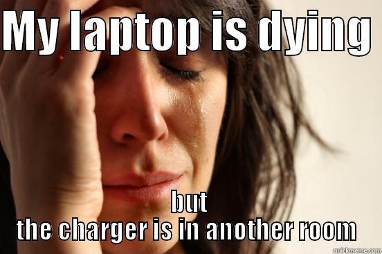 MY LAPTOP IS DYING  BUT THE CHARGER IS IN ANOTHER ROOM  First World Problems