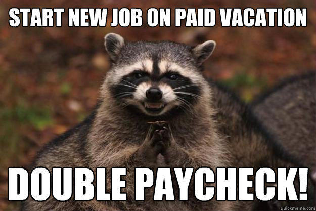 Start new job on paid vacation double paycheck!  Evil Plotting Raccoon