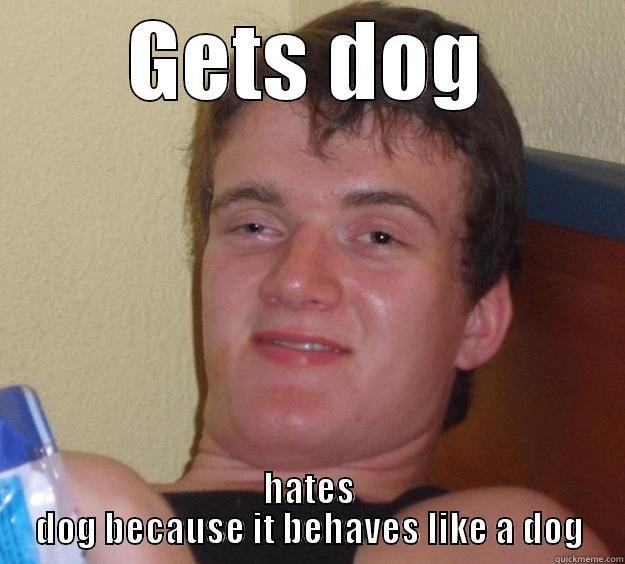 dog duh - GETS DOG HATES DOG BECAUSE IT BEHAVES LIKE A DOG 10 Guy