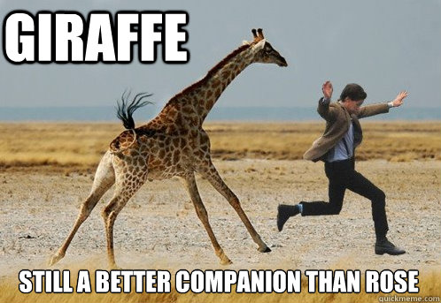 Giraffe still a better companion than rose  Doctor Who