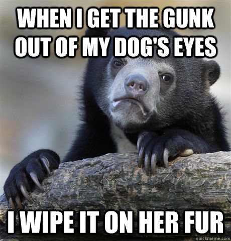 When I get the gunk out of my dog's eyes I wipe it on her fur  Confession Bear